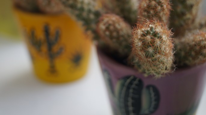 Reasons to visit Mexico